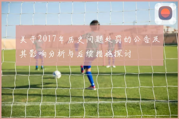 关于2017年历史问题处罚的公告及其影响分析与后续措施探讨