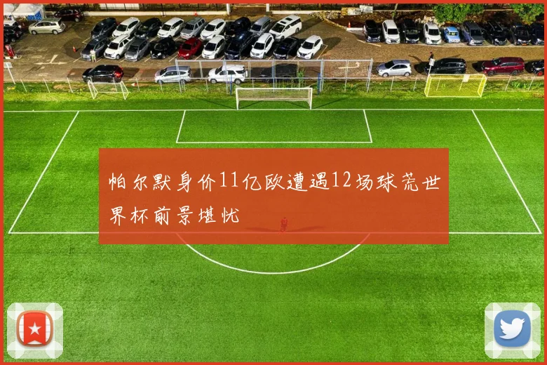 帕尔默身价11亿欧遭遇12场球荒世界杯前景堪忧